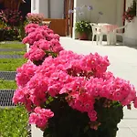 Aparthotel Dei Pini