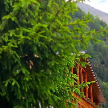 Aparthotel Dei Pini Campodolcino